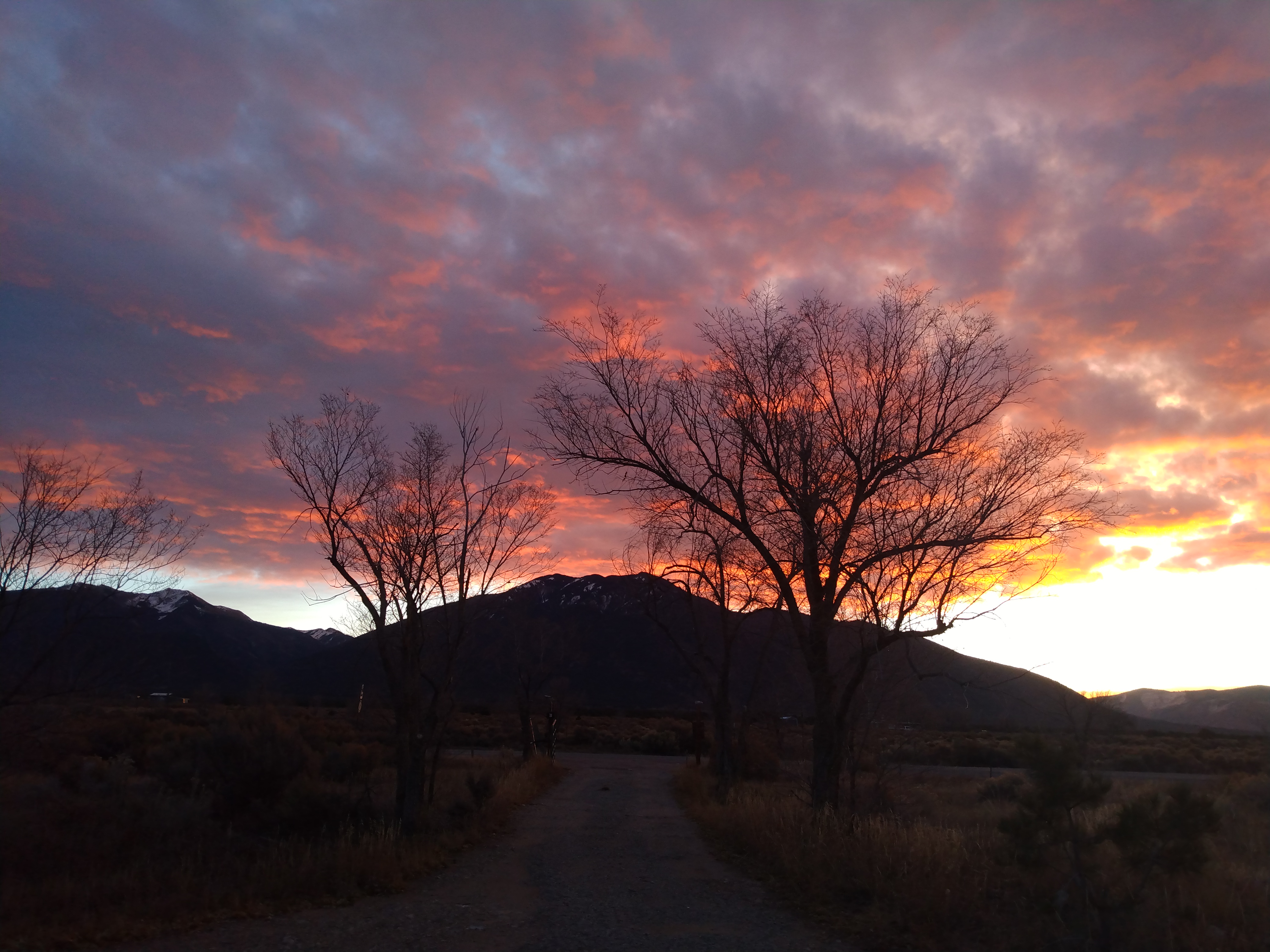 Taos